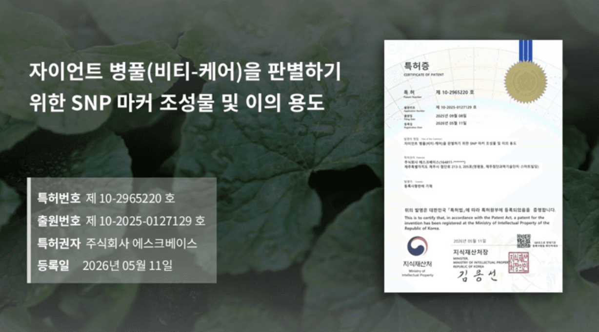 «Riman Korea» завершила регистрацию патента на технологию генетической идентификации «гигантской центеллы Giant BYoungPool™»